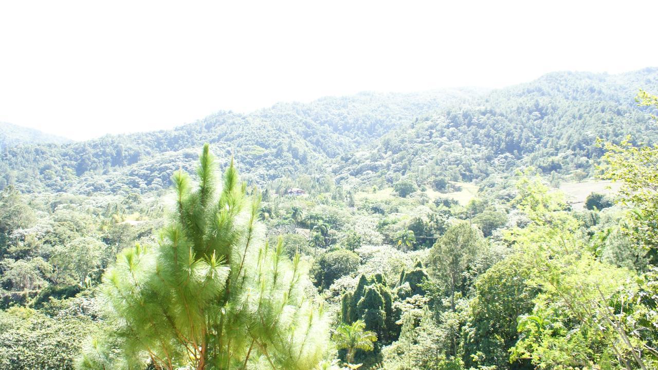 Hotel Rancho La Aurora Jarabacoa Ngoại thất bức ảnh